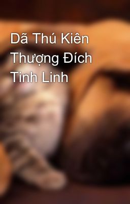 Dã Thú Kiên Thượng Đích Tinh Linh