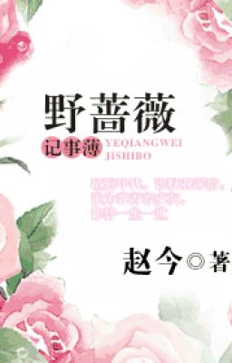 Dã tường vi ghi việc sổ - Triệu gia tiểu kim (HĐ)