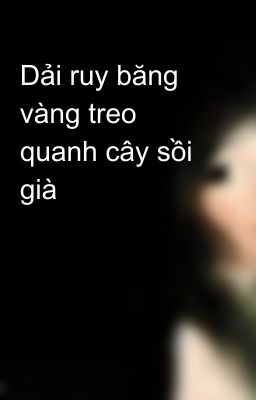 Dải ruy băng vàng treo quanh cây sồi già