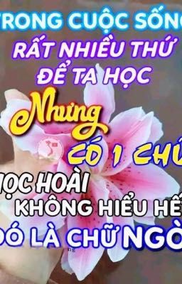 dajeongz; ô môi