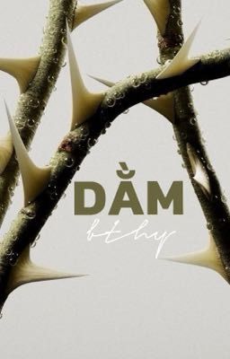 dằm