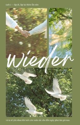 damianya | wieder