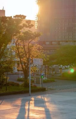 Đan bàn tay •ATSH2•