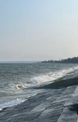 đánh mất.
