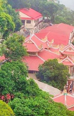ĐẠO ĐỒ TRƯỜNG SINH
