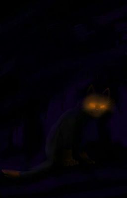 Dark Randomness