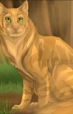 Dawnclan