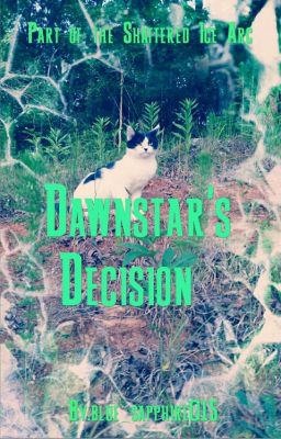 Dawnstar's Decision