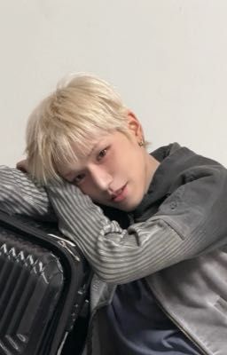 |ddingdongz| Bunny
