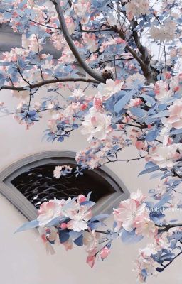 Đề cương đạo đức