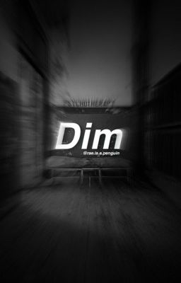 Dim // l.h (slow updates)