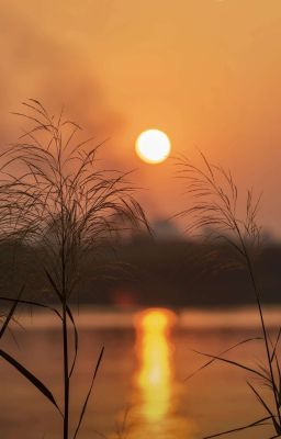 Định Mệnh Qua Lối Nhỏ