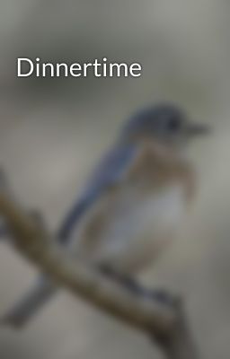 Dinnertime