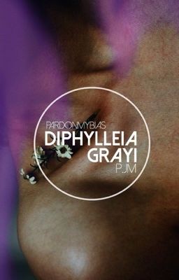 diphylleia grayi • jimin