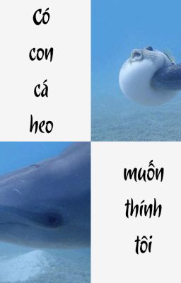 [ĐM] Có con cá heo muốn thính tôi (Hoàn tất)