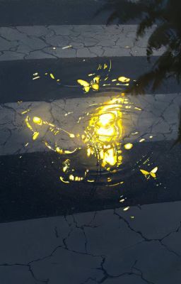[ĐM/EDIT] Giáo huấn khác thường