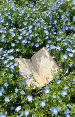 [ĐM] Lời nói dối đẹp nhất của cậu