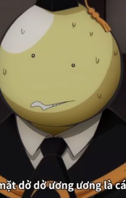 [Đn Assassination classroom]-{XK}--Kí ức của thầy--