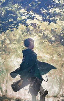ĐN [ Attack On Titan ]  Ánh Mắt Màu Lá