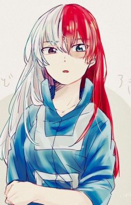 [ ĐN BnHA + KnY ] Em gái song sinh của Todoroki Shoto