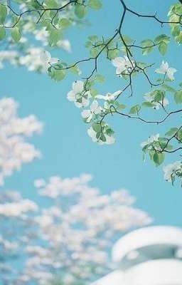 [ĐN Conan] Chúng ta của năm ấy