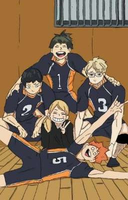 [ĐN HAIKYUU!!] HỘI NĂM NHẤT KARASUNO