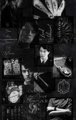 [ĐN Harry Potter] Lời Thề Máu và Mật Ngọt🐍 | Tom Riddle x Y/N  