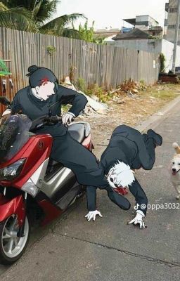 (ĐN Jujutsu Kaisen) Đàn Em Có Chút Không Bình Thường