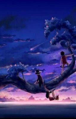 [Đn One piece] Nơi để trở về.