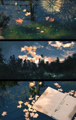[Đn TR] Ánh dương ngày ấy