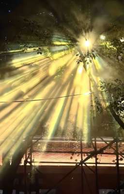 Dở Dang || Sonbinh