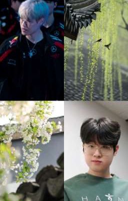 Đô đốc phu nhân (On2eus)