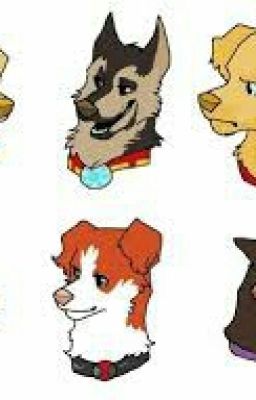 Dogs Assemble