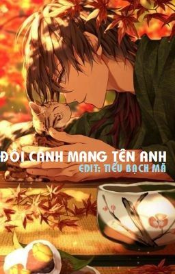 Đôi cánh mang tên anh