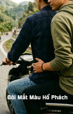 Đôi Mắt Màu Hổ Phách