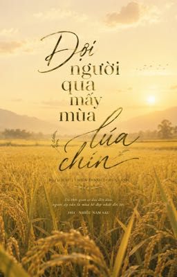 Đợi Người Qua Mấy Mùa Lúa Chín