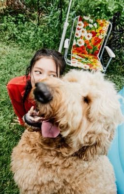 domas ☆ cách trị vợ lẳng lơ