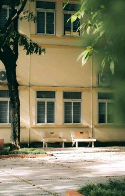 DomicMasterD | bạn cùng bàn