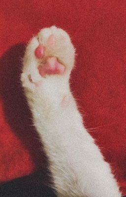 domicmasterd. friends to lovers