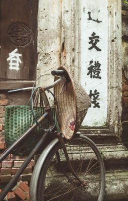 domicmasterd || nghiêng nước nghiêng thành