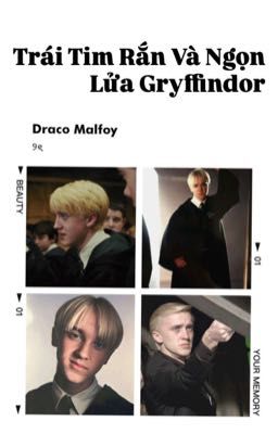 [Draco & Reader] Trái Tim Rắn Và Ngọn Lửa Gryffindor