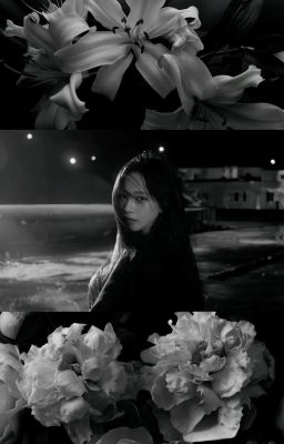 Dracula - [ Keohyeon ]