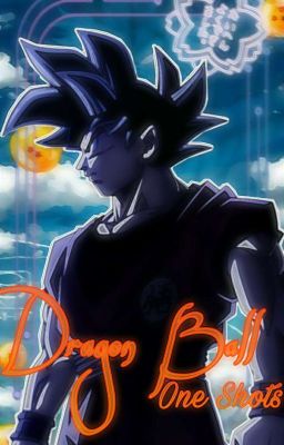 Dragon Ball Z x Reader {One Shots}