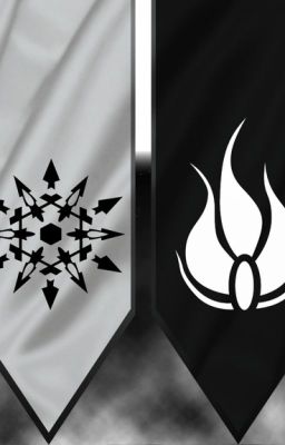 (Dragon) Mreader X RWBY 2