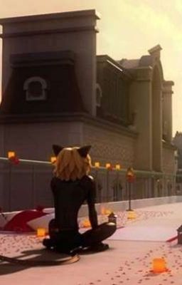 [Drop][Miraculous Fanfiction] Dù người có là ai đi chăng nữa, tôi vẫn yêu người.