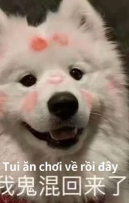 Đủ gần để không thuộc về