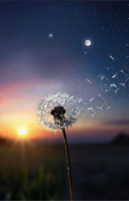 Dư Tẫn Dật Lục