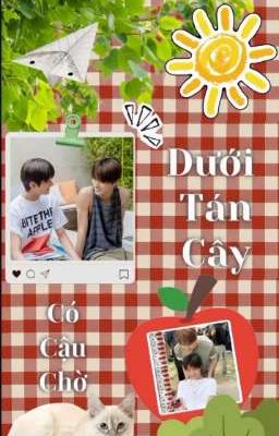 Dưới tán cây, có cậu chờ 