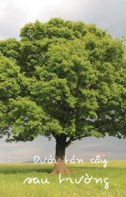 Dưới tán cây sau trường 