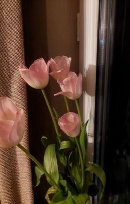 duonghieu; oan gia ngõ hẹp